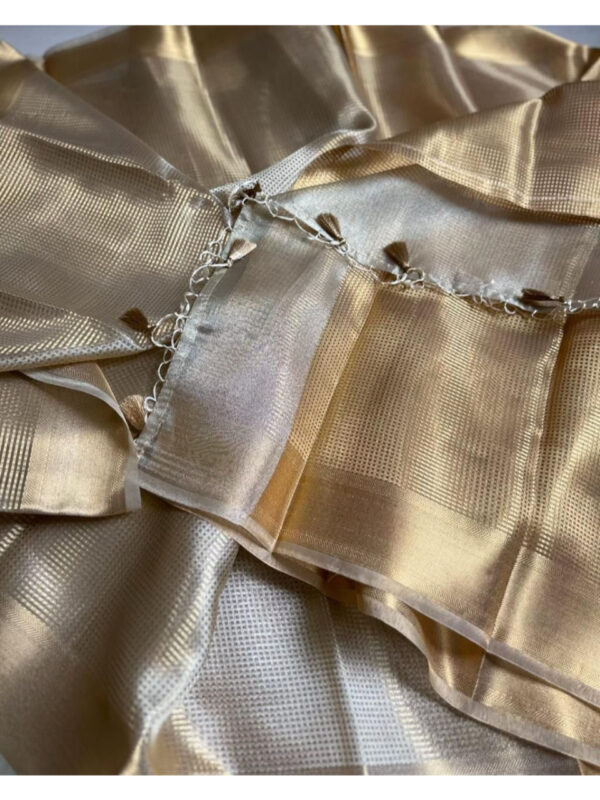 Nayanthara Inspired Gold Tissue saree -A111 - Image 4