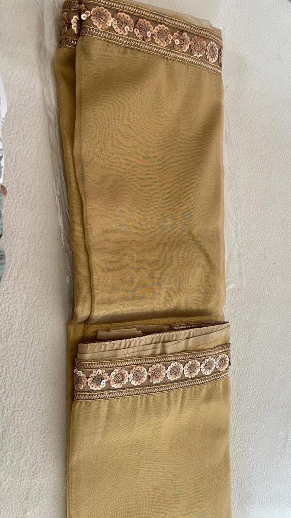 Namratha Gowda -Golden Tissue Organza Saree - TS101 - Image 2